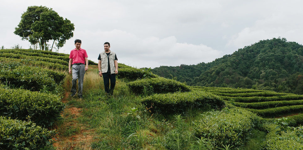 Numi president and tea farm partner walk through a tea garden